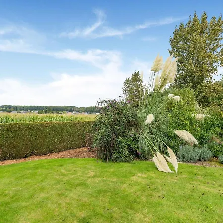 Stunning In Oombergen With Terrace And Garden * Zottegem